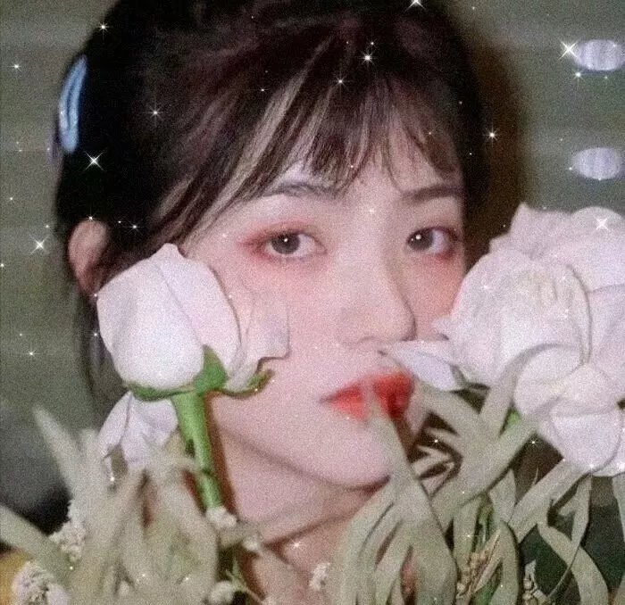 灰姑娘的手机情缘